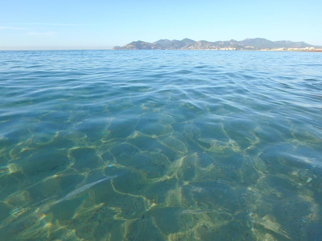Residence Veles Plage Cannes Eksteriør billede